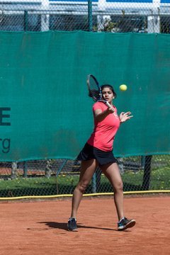 Bild 181 - VL Marienthaler THC - THC von Horn und Hamm